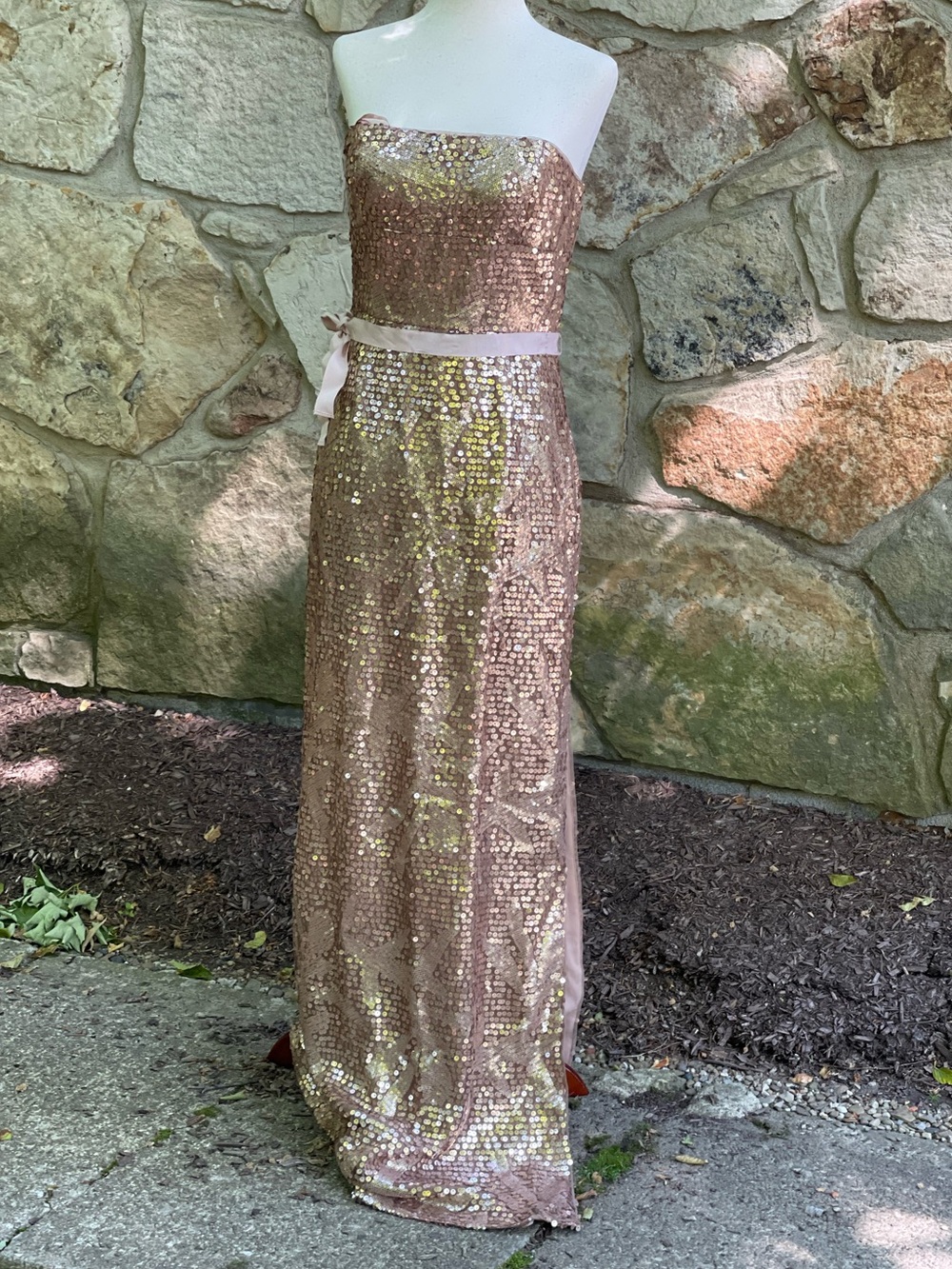 BCBG NWT Strapless Sequin Evening Gown Lela 6